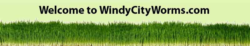 image of grass with text "welcome to windycityworms.com"